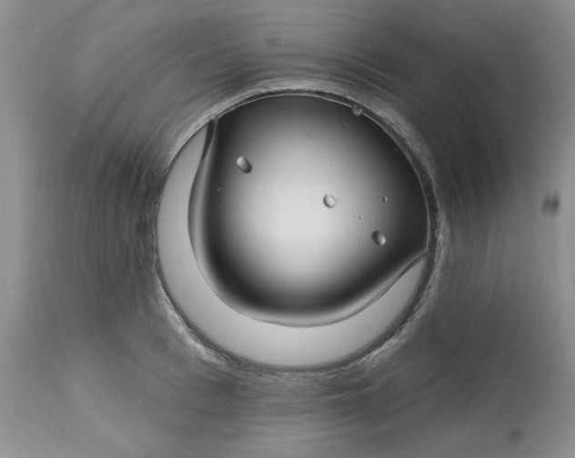 X0000112800993200909111231