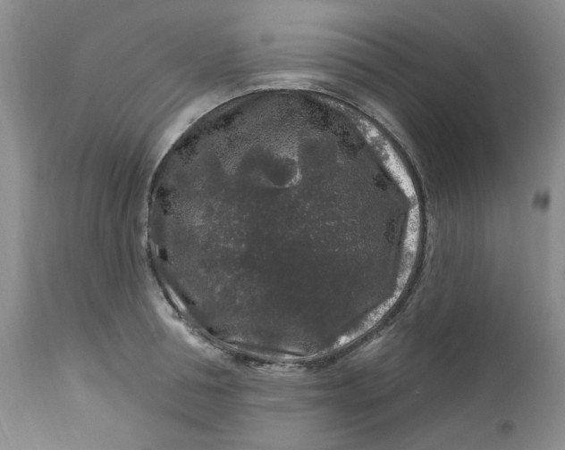 X0000112800994200909111231