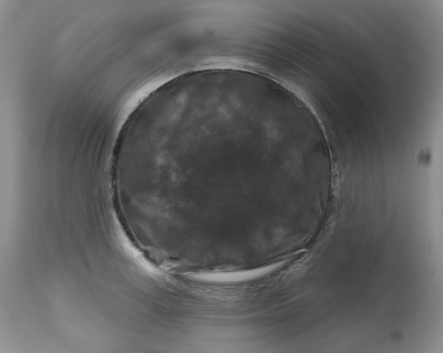 X0000112800995200909111231