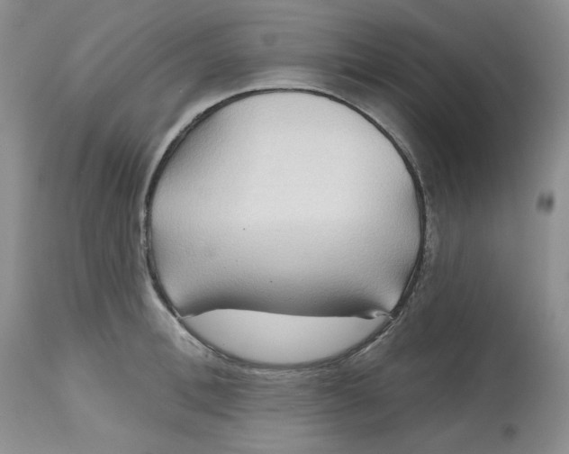 X0000112800996200909111231