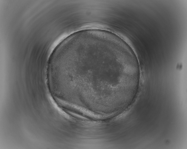 X0000112800997200909111231