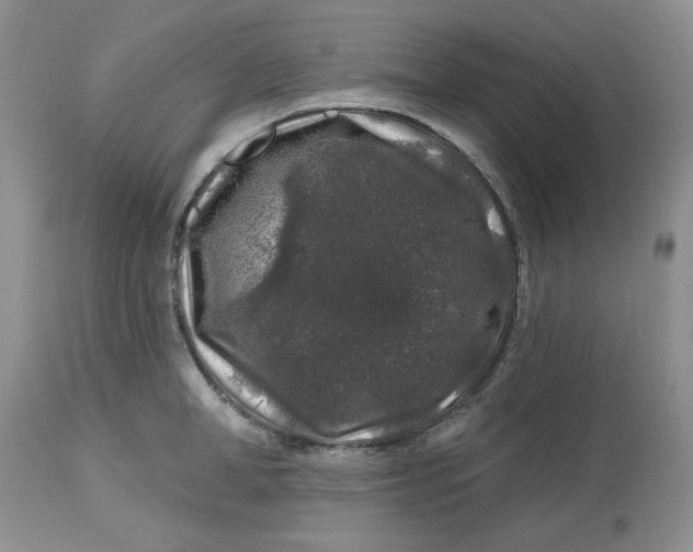 X0000112800998200909111231