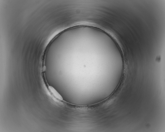 X0000112800999200909111231