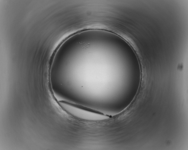 X0000112801000200909111231