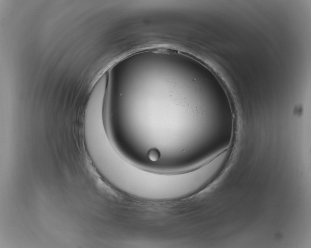 X0000112801001200909111231