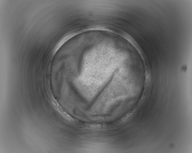 X0000112801002200909111231