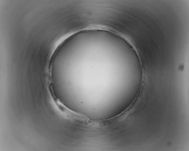 X0000112801003200909111231