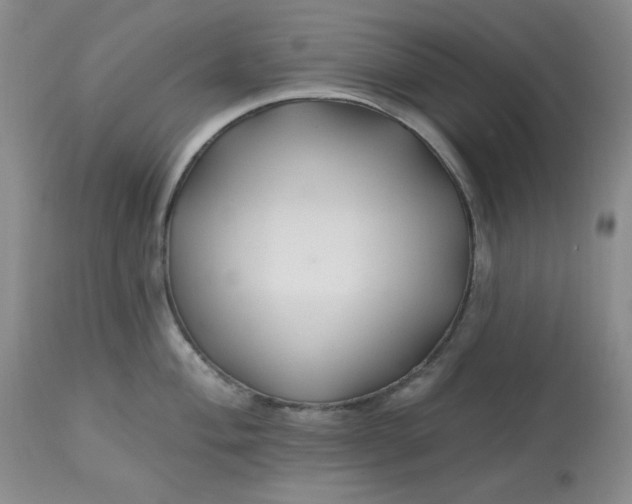 X0000112801004200909111231