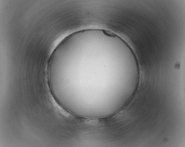 X0000112801006200909111231