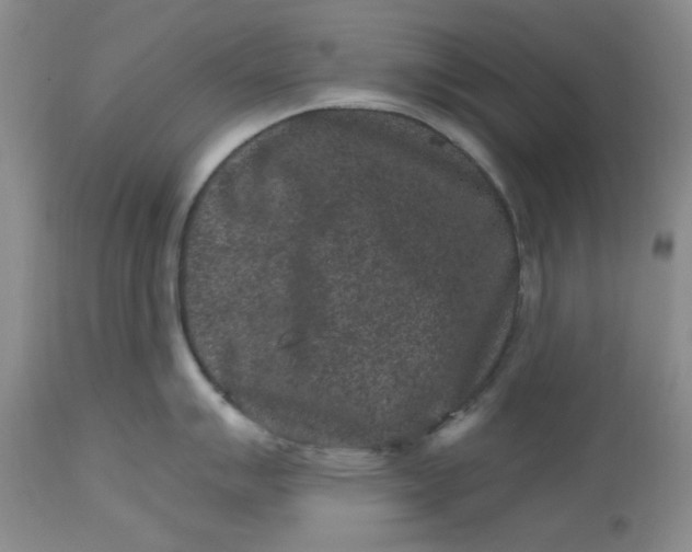 X0000112801007200909111231