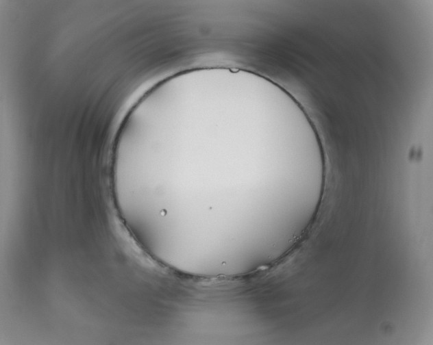 X0000112801008200909111231