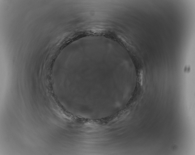 X0000112801009200909111230