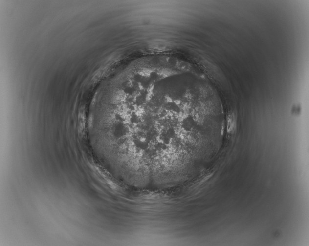 X0000112801011200909111230