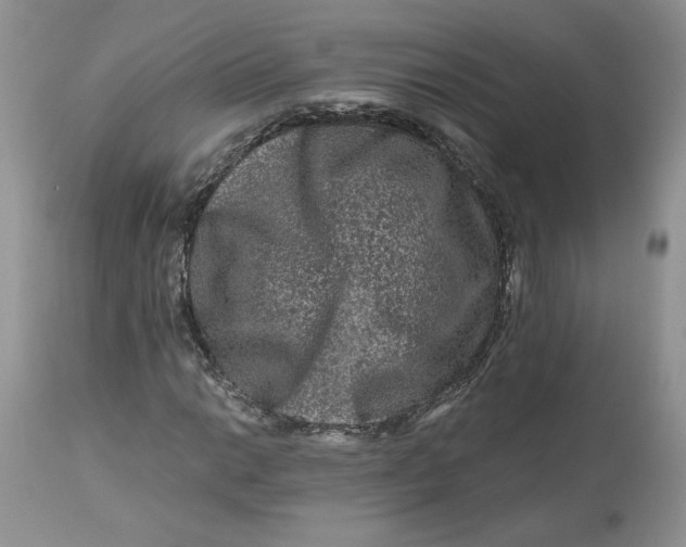 X0000112801014200909111230