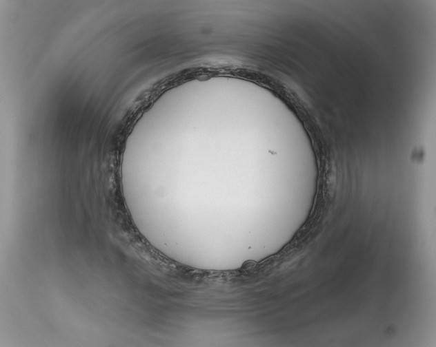 X0000112801016200909111230