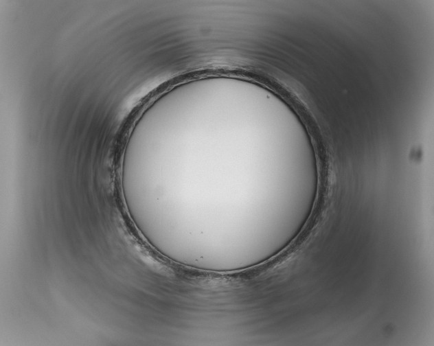 X0000112801018200909111230