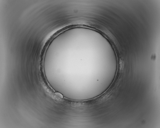 X0000112801020200909111231