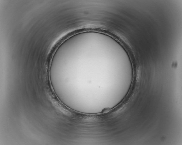 X0000112801021200909111231