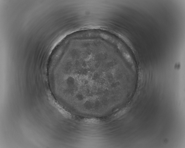 X0000112801023200909111231