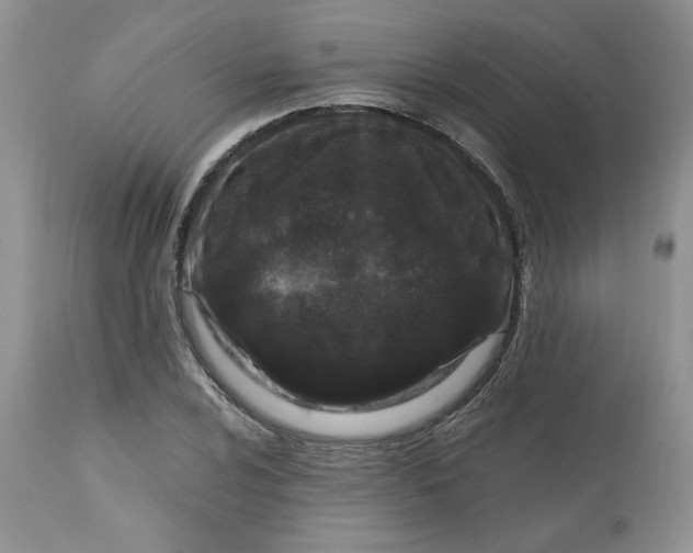 X0000112801024200909111231