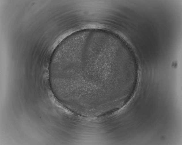 X0000112801025200909111231