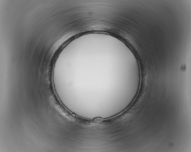 X0000112801026200909111231