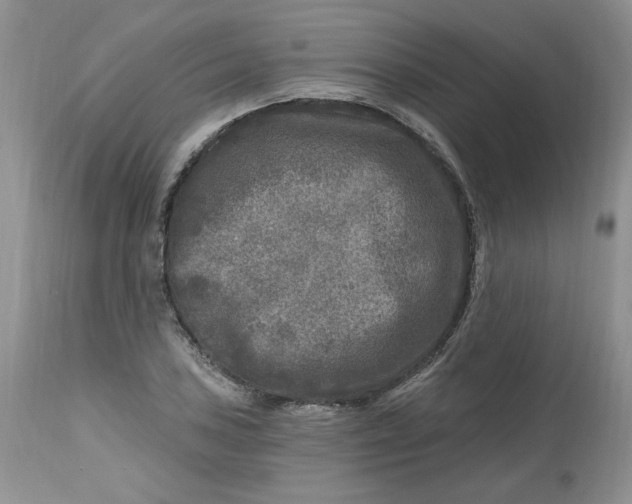 X0000112801027200909111231