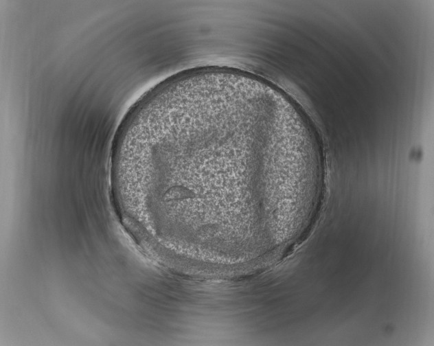 X0000112801028200909111231