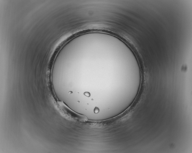 X0000112801029200909111231