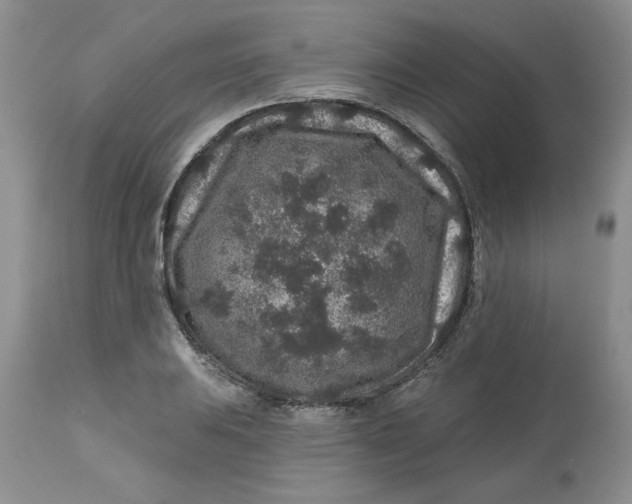 X0000112801031200909111231