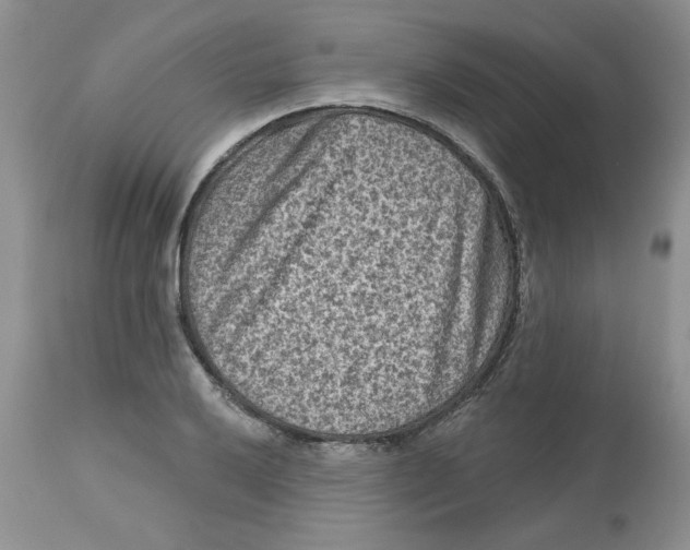 X0000112801032200909111231