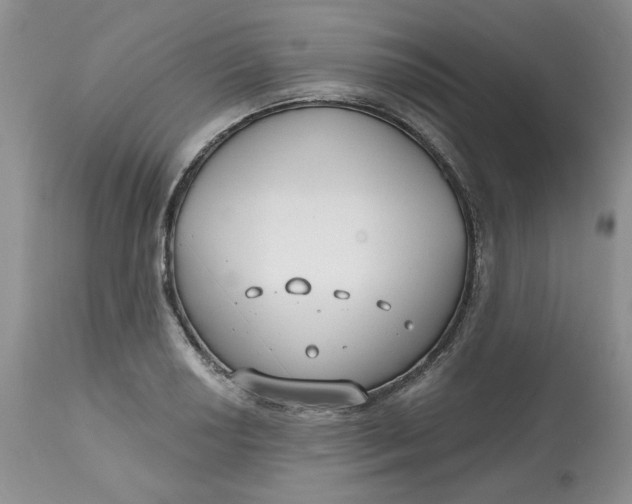 X0000112801034200909111231