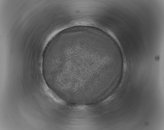 X0000112801035200909111231