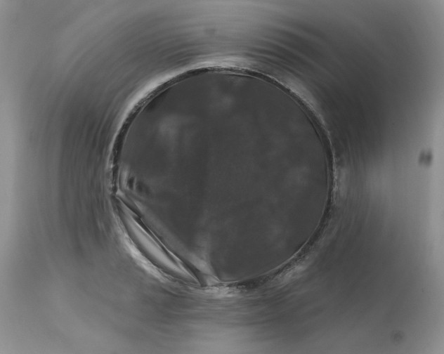 X0000112801037200909111231