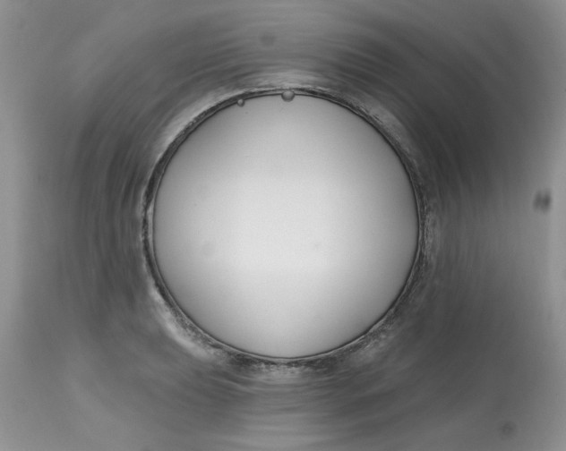 X0000112801039200909111231