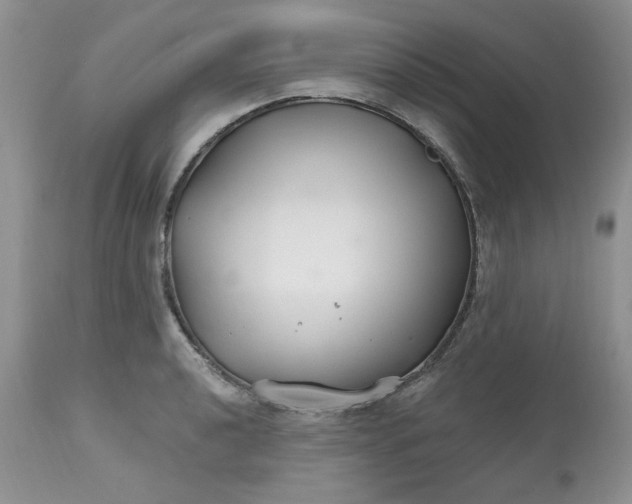 X0000112801040200909111231