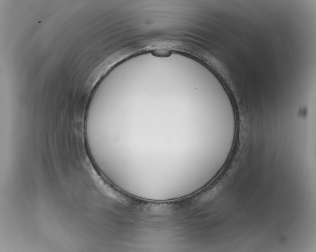 X0000112801041200909111231