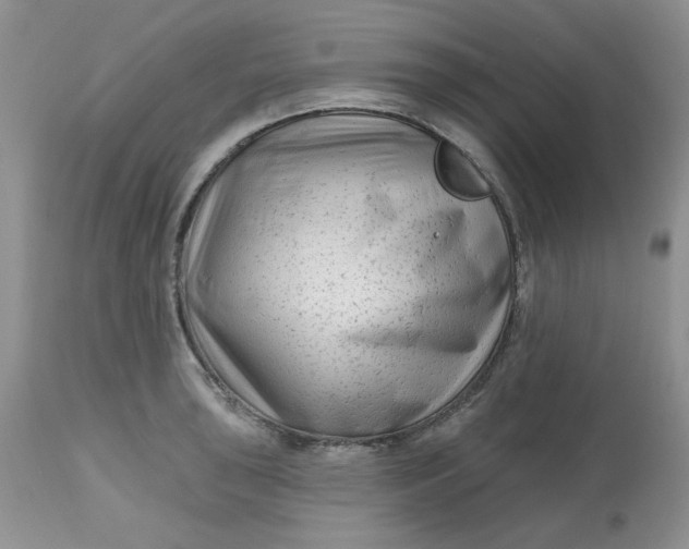 X0000112801043200909111231