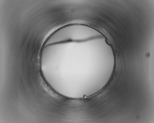 X0000112801044200909111231