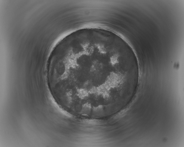 X0000112801045200909111231