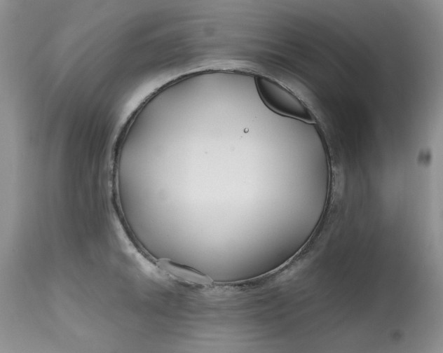 X0000112801046200909111231