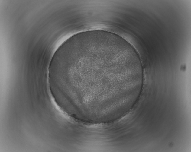 X0000112801047200909111231