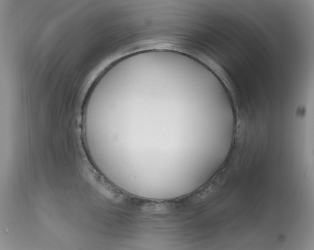 X0000112801051200909111231