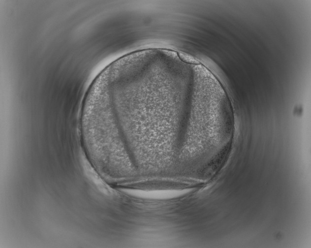 X0000112801052200909111231