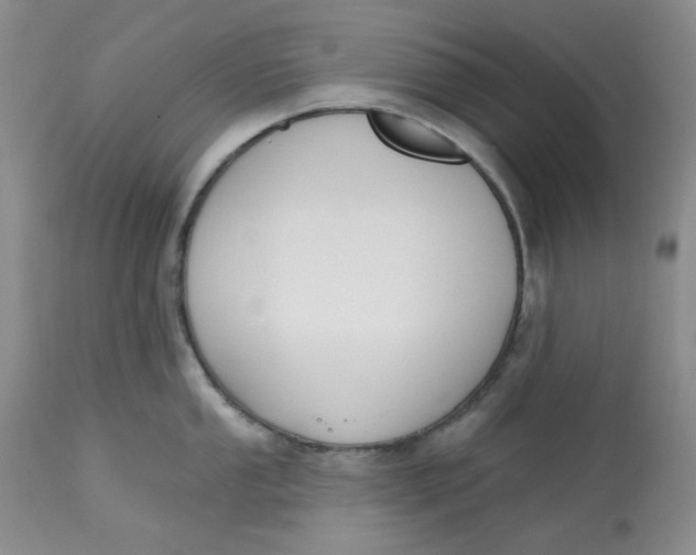 X0000112801053200909111231