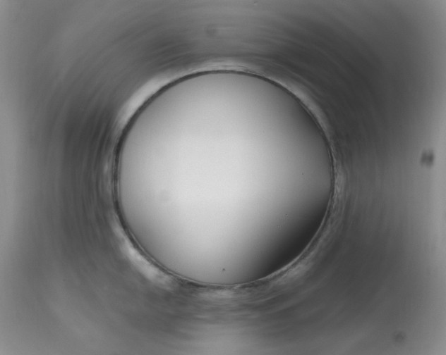 X0000112801054200909111231