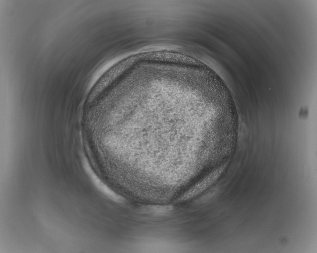 X0000112801055200909111231