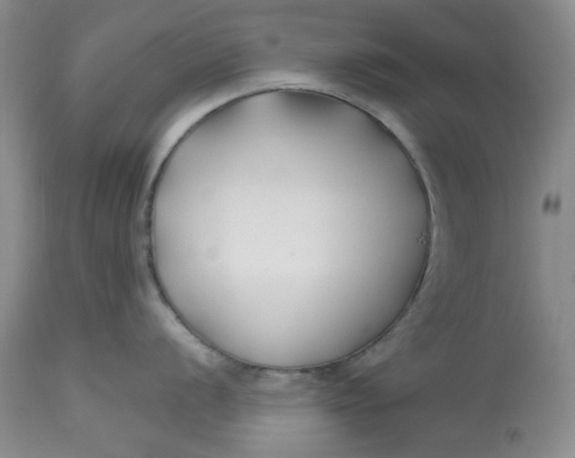 X0000112801056200909111231