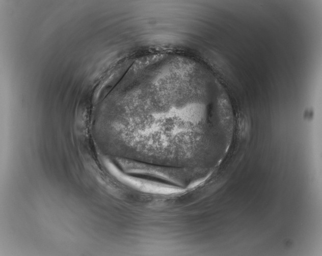 X0000112801060200909111230