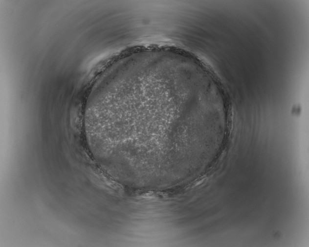 X0000112801063200909111230